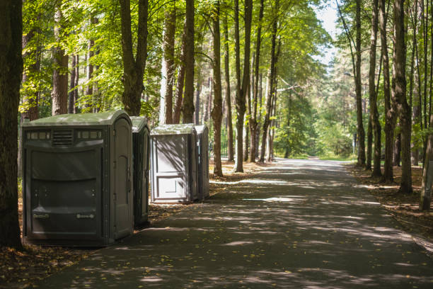 Best High-end porta potty rental  in Hinckley, MN